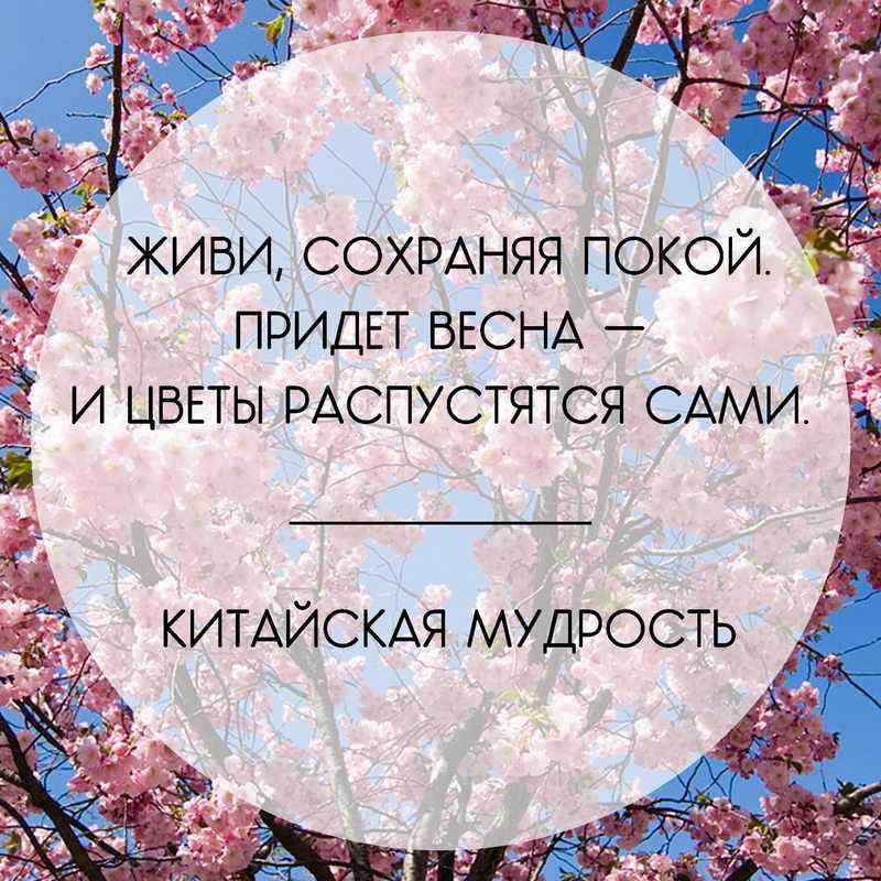 Более 500 цитат для instagram: топ самых лучших