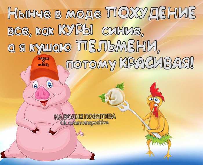 261 смешная мотивационная цитата, которая вдохновит тебя на улыбку