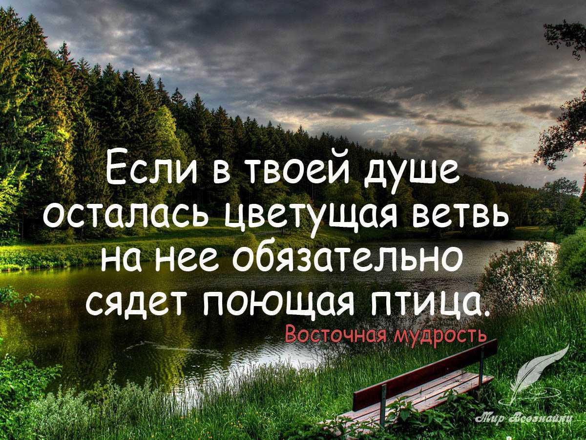 Более 500 цитат для instagram: топ самых лучших