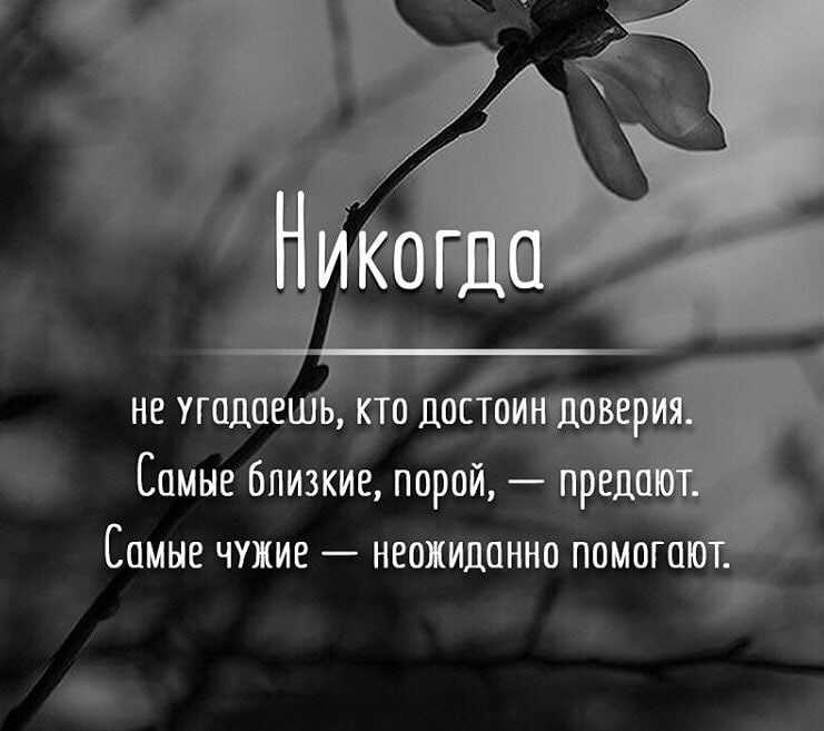 ᐉ высказывания никому не верь. цитаты и фразы о доверии - imagestudiotouch.ru