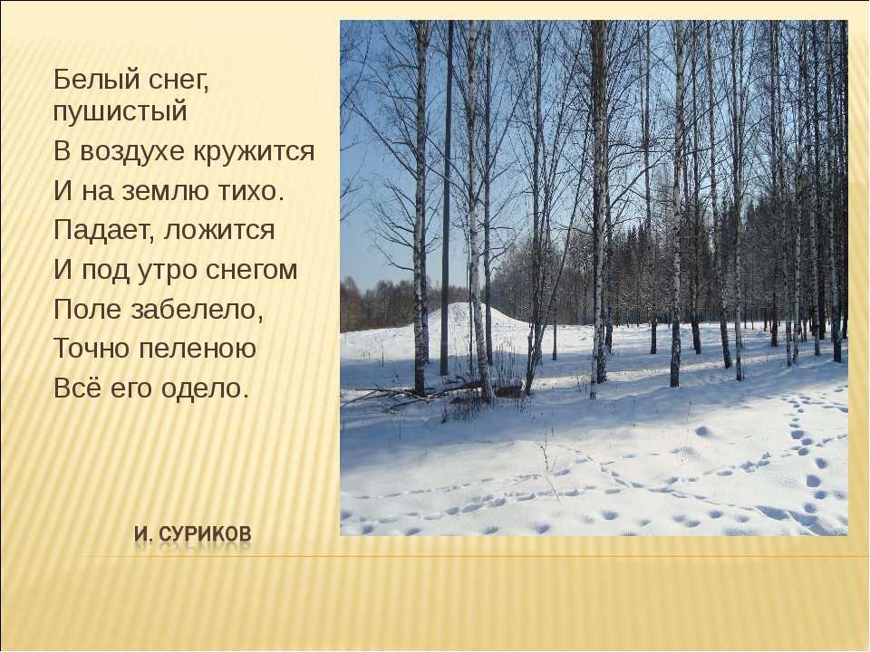 Литкульт — первый снег