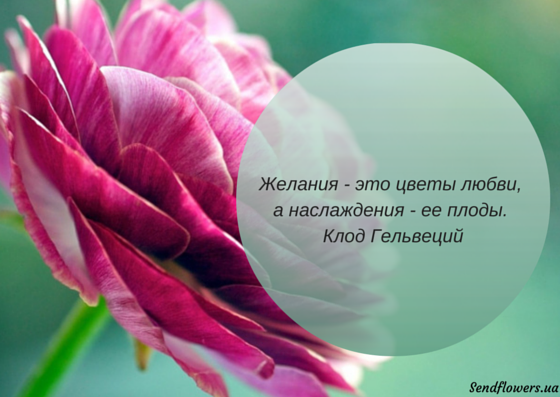 Цитаты про цветы. афоризмы о цветах цитаты про полевые цветы