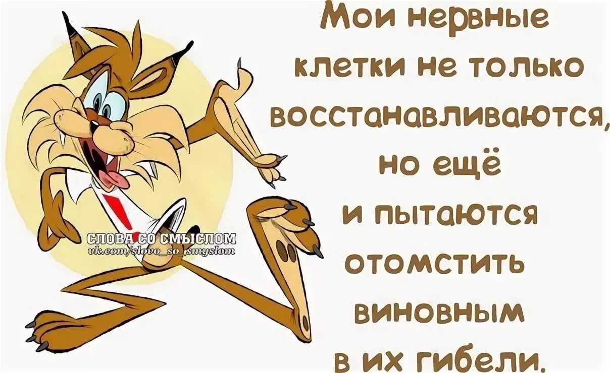50 лучших цитат про учителей
