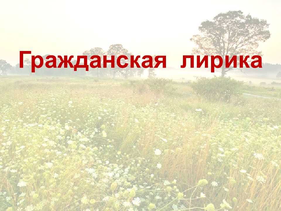 Гражданская лирика