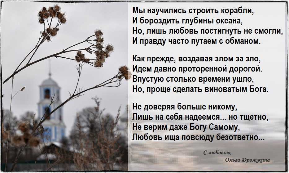 Ольга дрожжина биография википедия