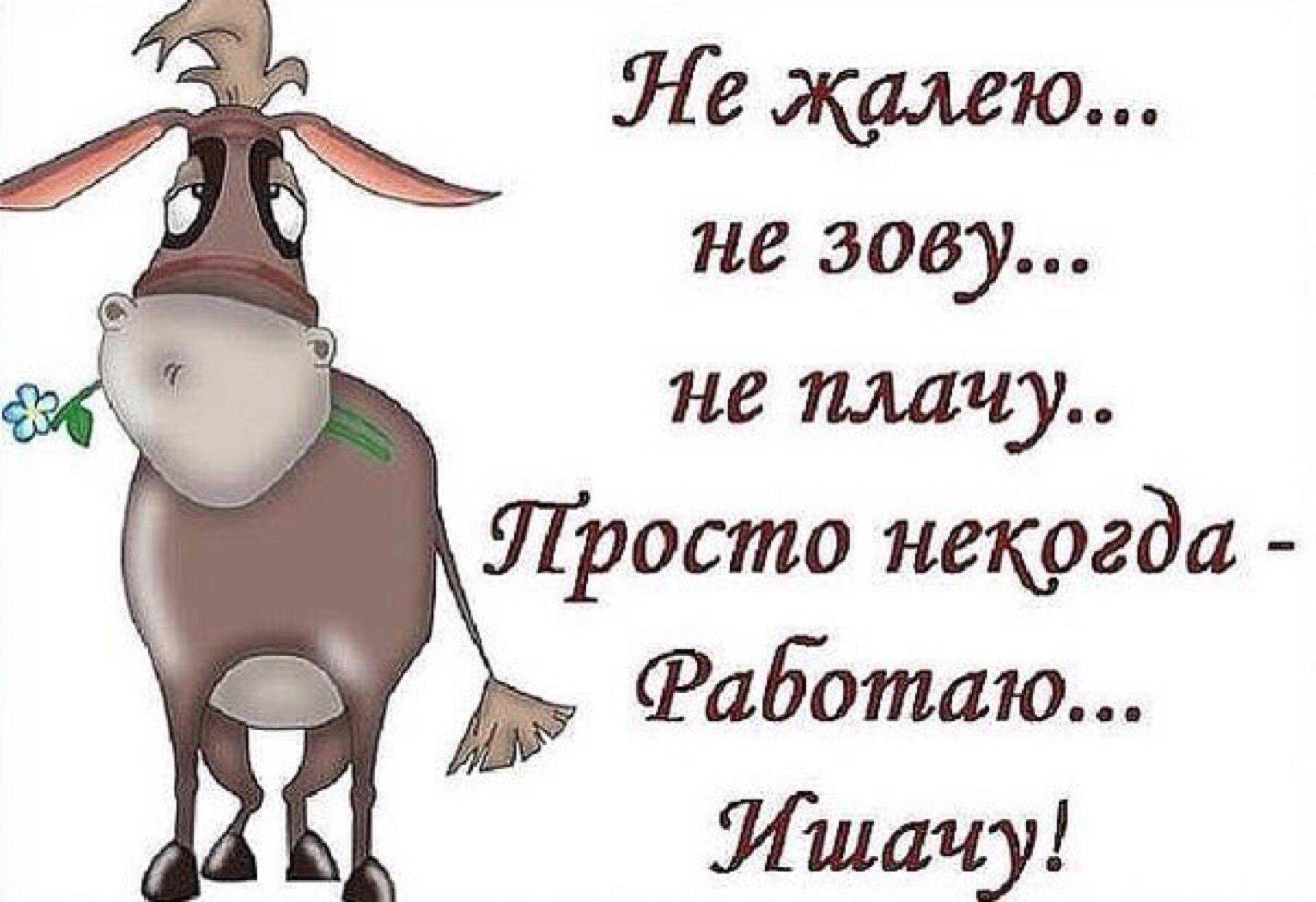 Статусы про работу – лучшие статусы