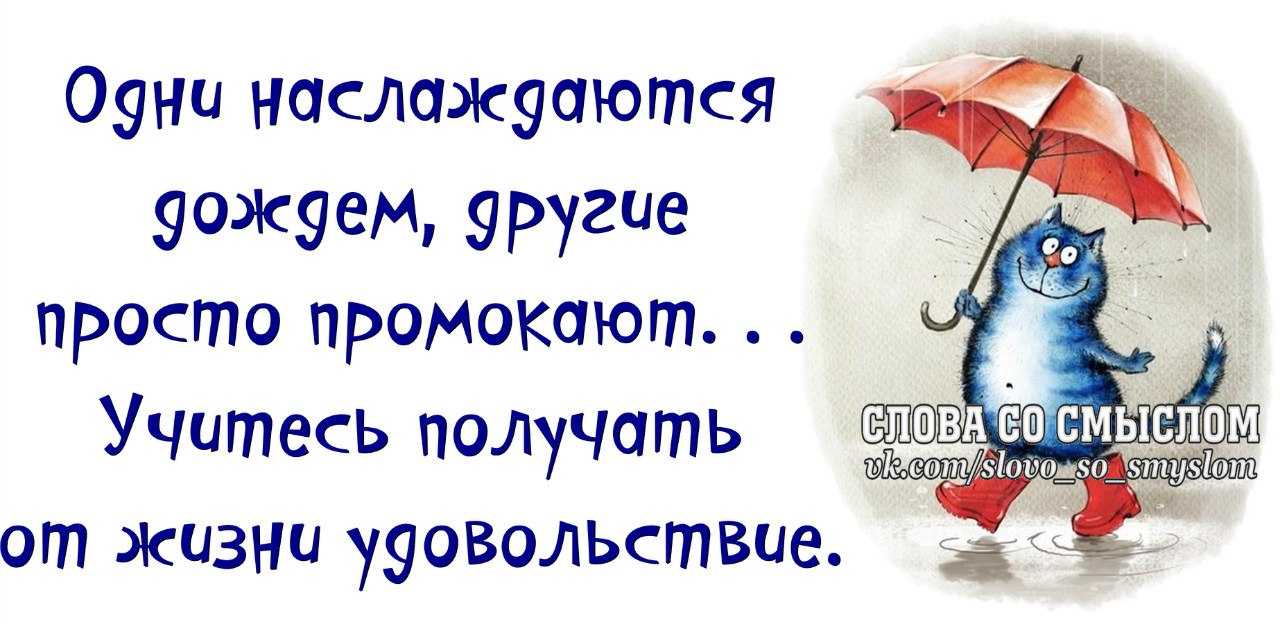 Он любит меня… 842 ромашки не будут врать! смешные цитаты про любовь