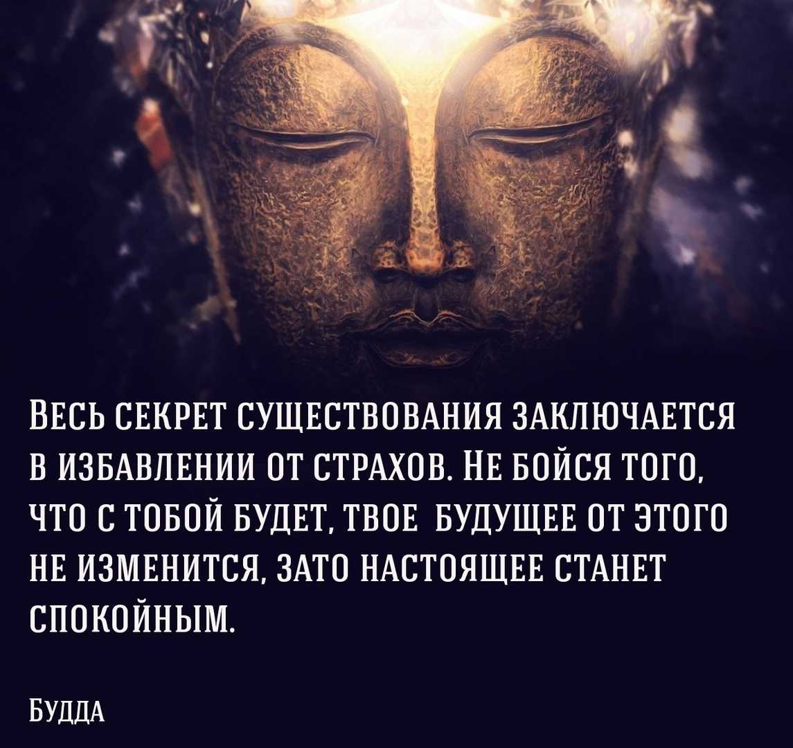 Почему «на обиженных воду возят» и что «вилами по воде писано»: история популярных выражений из прошлого