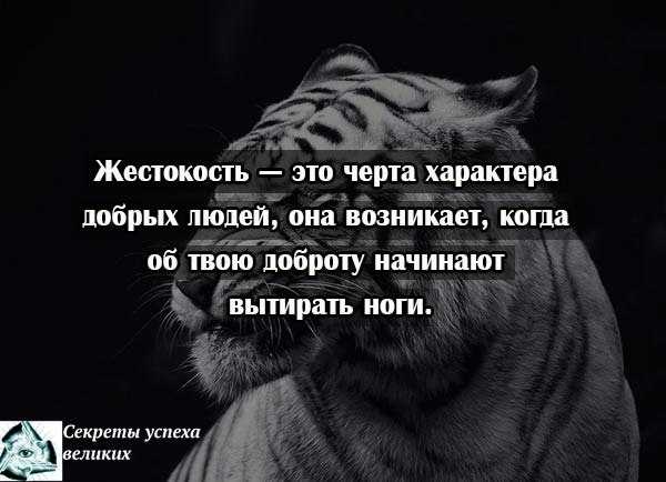 Аргументы из жизни и литературы на тему «что такое жестокость»