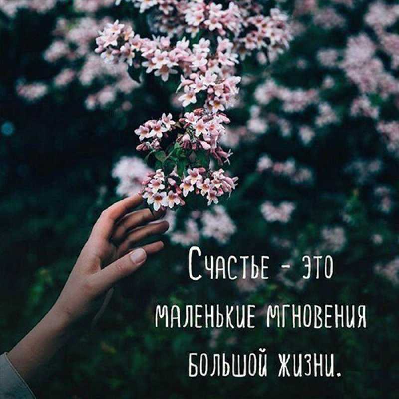 Цитаты и афоризмы о счастье