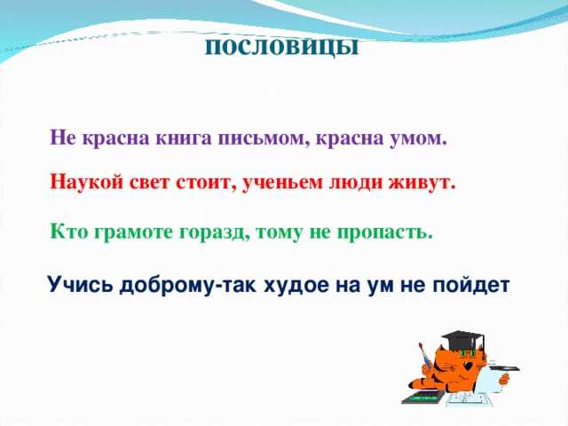 Интересные факты о пословицах