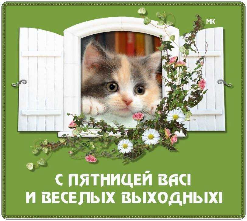 Поздравления с пятницей последним днем недели ~ все пожелания и поздравления на сайте праздникоff