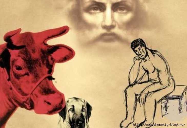 Масоны: чем они занимаются и что значит всевидящее око | рбк тренды