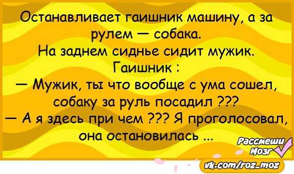 Анекдоты - ночью гаишнику снится сон | юмор и приколы