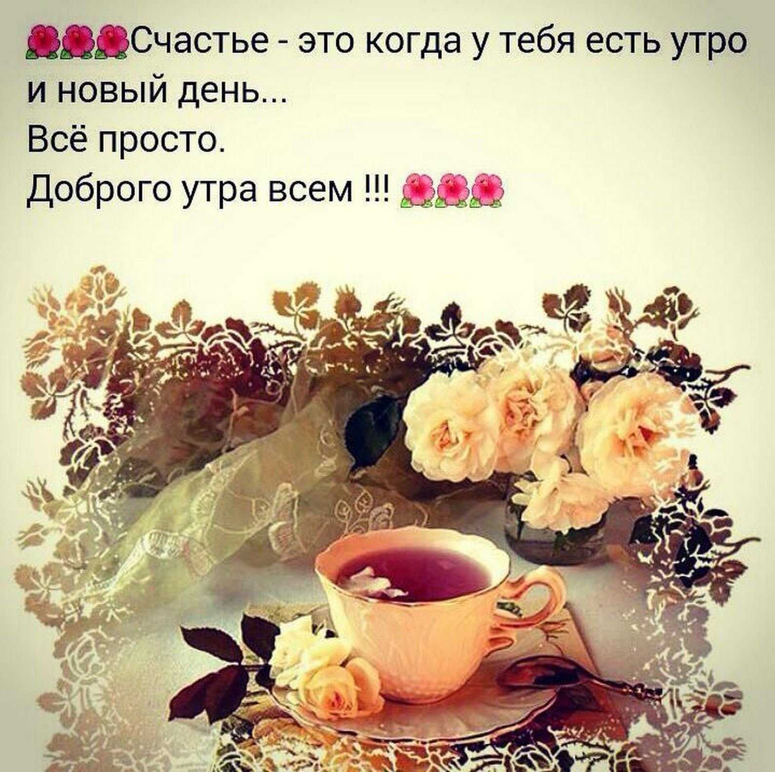 Жизненные цитаты о смысле жизни и любви для статусов: высказывания и красивые фразы