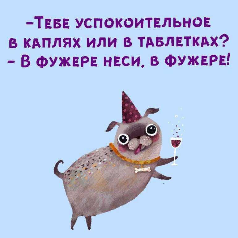 Смешные высказывания о жизни для поднятия настроения