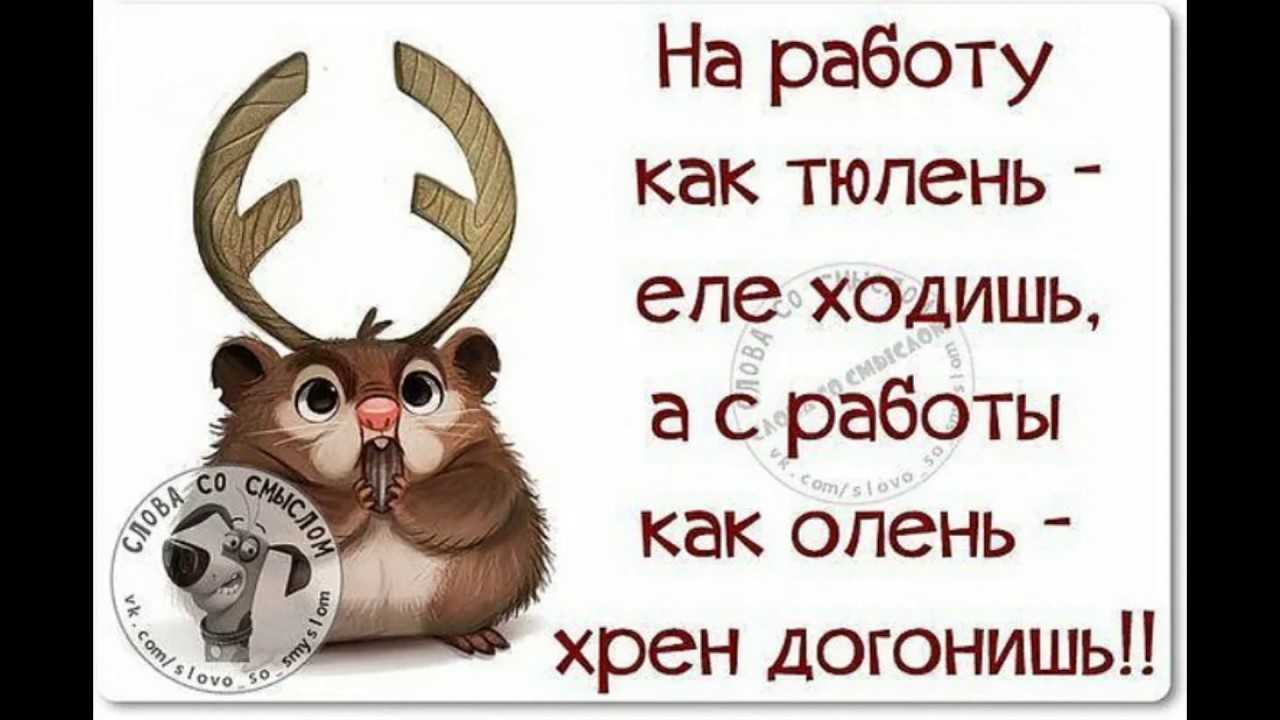 Афоризмы смешные до слез про работу — жизненные статусы