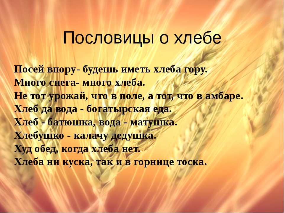 Пословицы и поговорки о народе | пословицы для детей