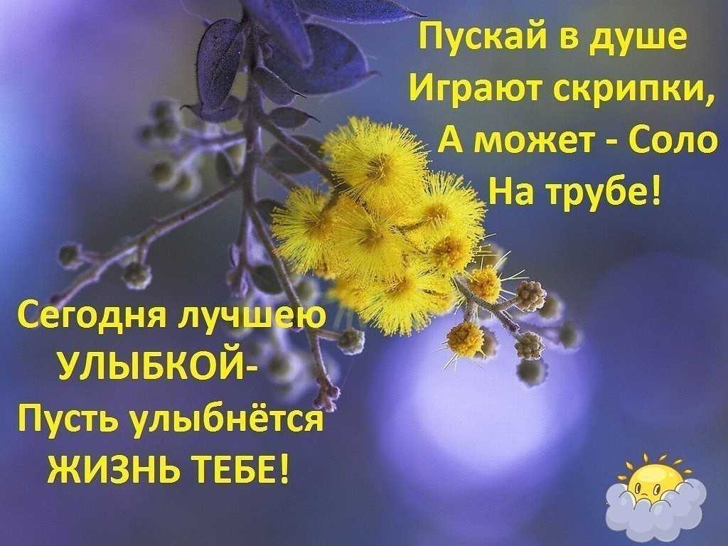 Прикольные стихи про успех