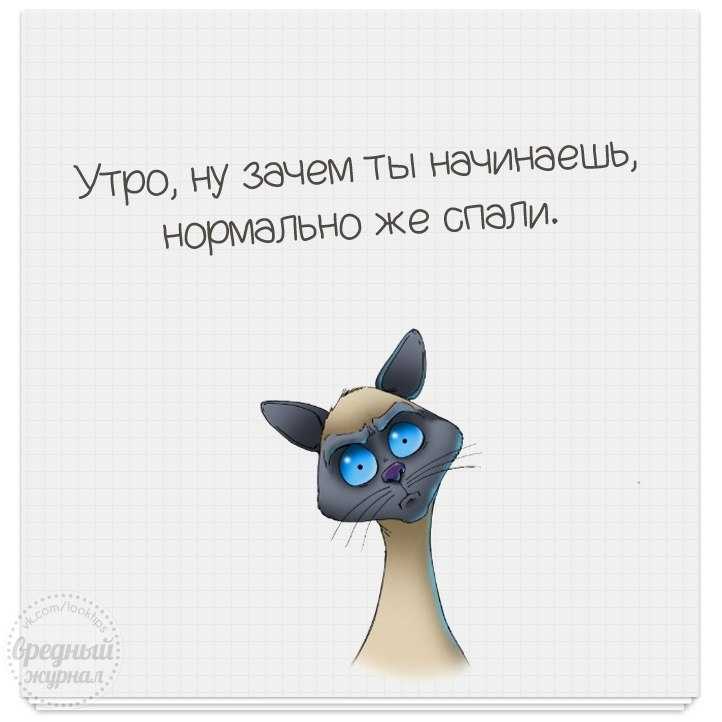 Цитаты и афоризмы про доброе утро и хорошее настроение
