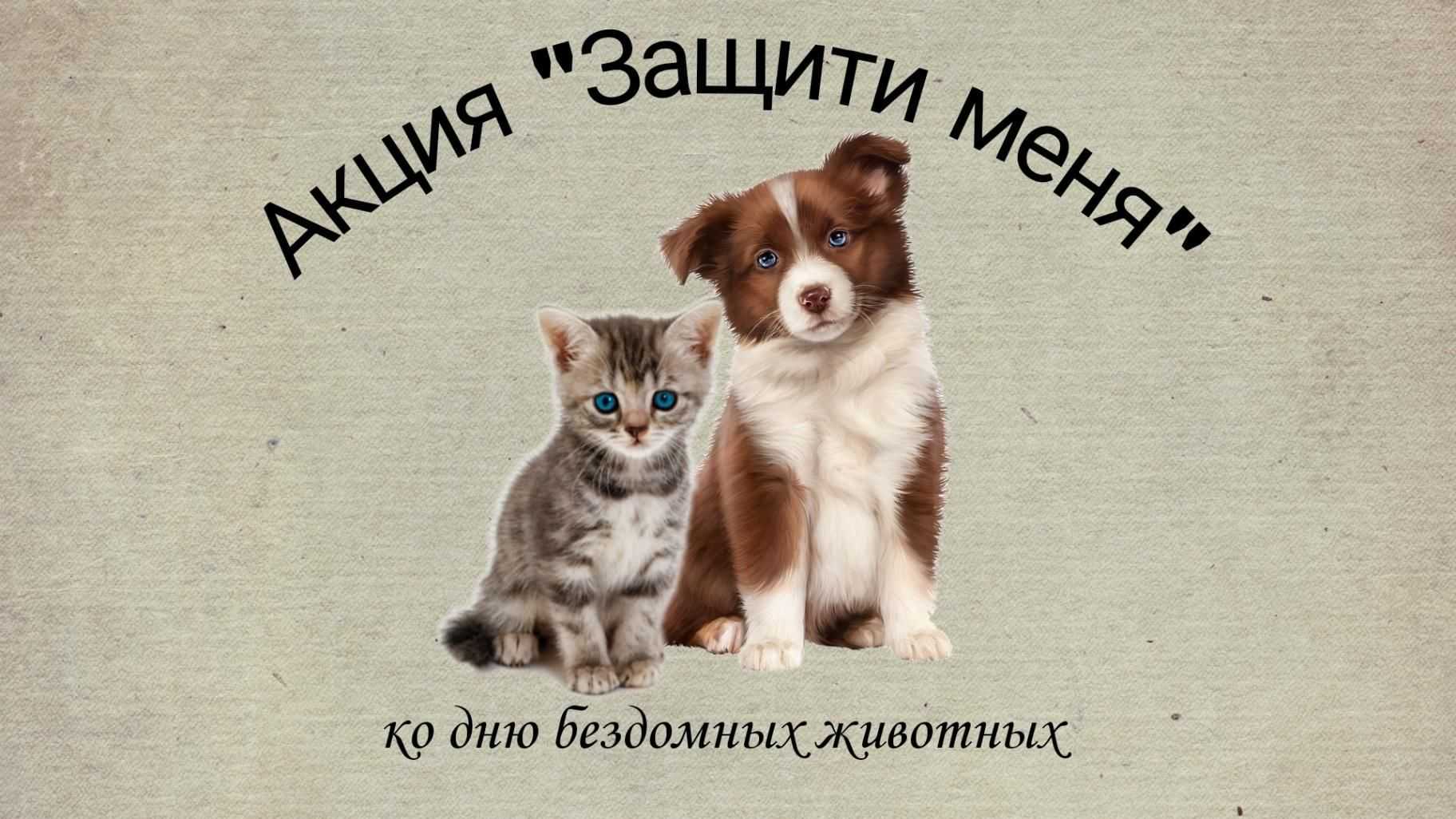 Книга рядом. сборник стихов и рассказов, посвященных дню бездомных животных 2018 г. читать онлайн бесплатно, автор анастасия затонская – fictionbook