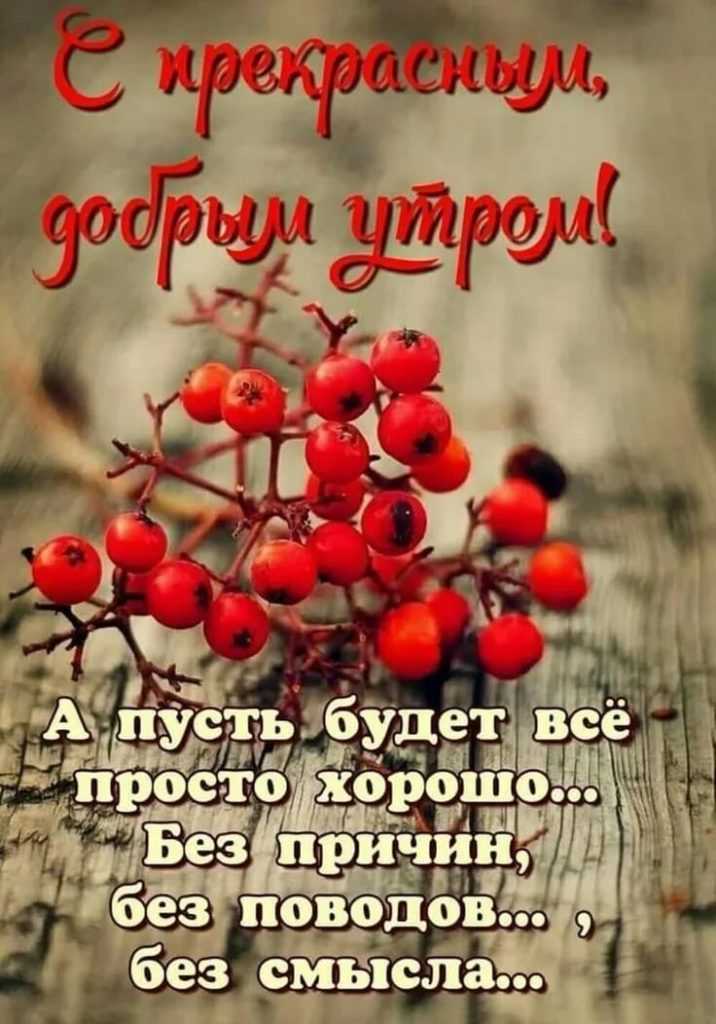 Статусы про нервы и работу