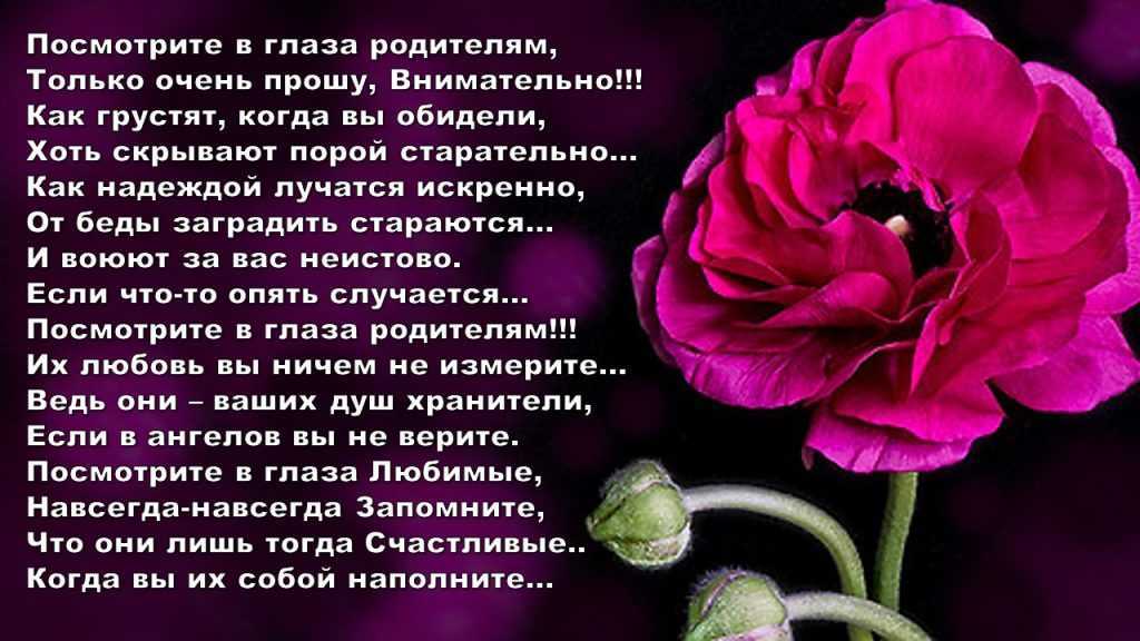 Стихи про семью