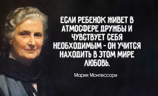 Цитаты и афоризмы про ромашки со смыслом