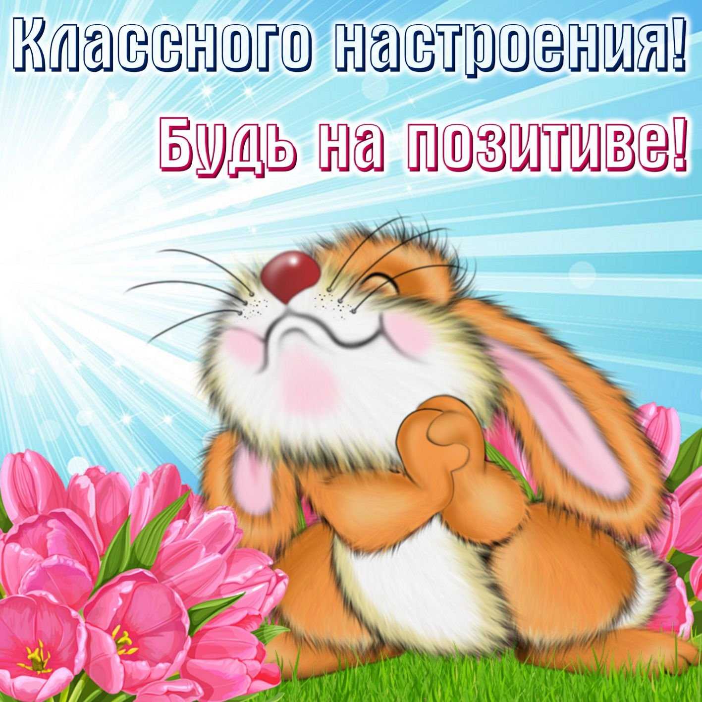 Красивые стихи, берущие за душу — о жизни и любви