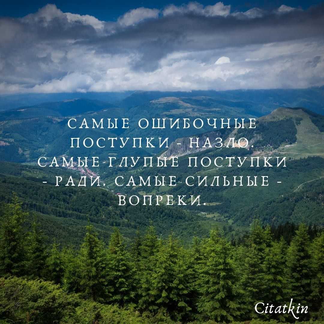 Мудрые и остроумные цитаты для статуса вконтакте
