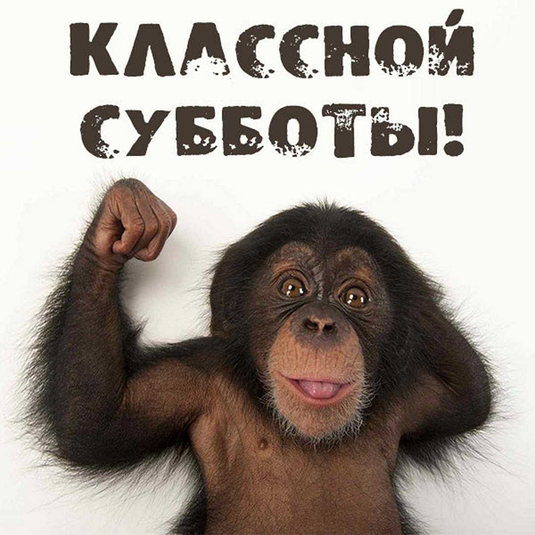 Остроумные анекдоты на все случаи жизни