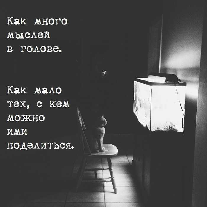 Откуда происходит фразеологизм "тараканы в голове" и почему он стал частью нашей речи