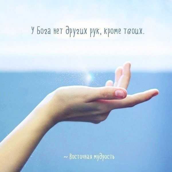 Душераздирающие цитаты