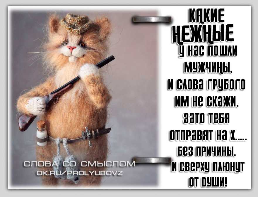 50 лучших цитат про учителей – статусы, афоризмы и прочие извечения