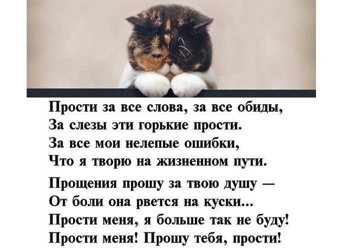 Статусы про извинения и прощение перед любимой девушкой, женщиной
