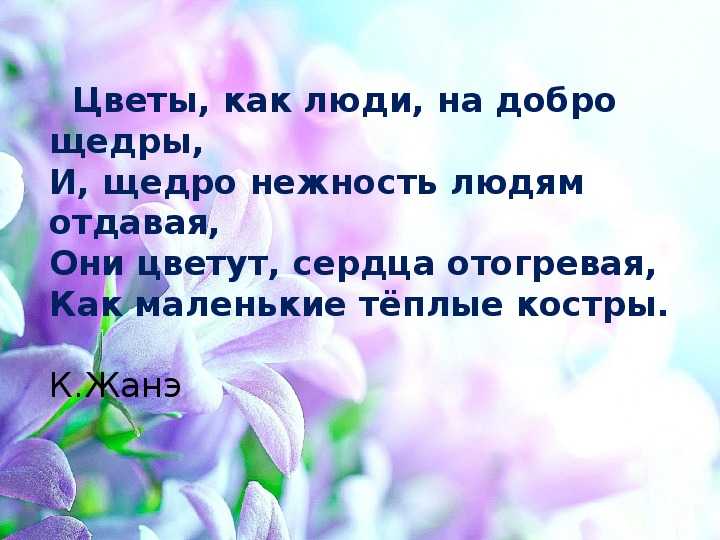 Статусы про цветы от любимого: слова, которые расскажут об ответных чувствах