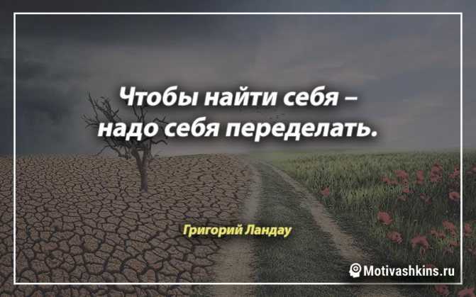 Лучшие цитаты про саморазвитие и самосовершенствование. лучшие «цитаты» про саморазвитие расти над собой цитаты