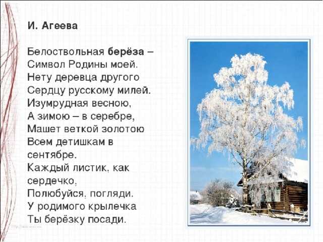 Стихи про березовую рощу осенью — подборка стихотворений