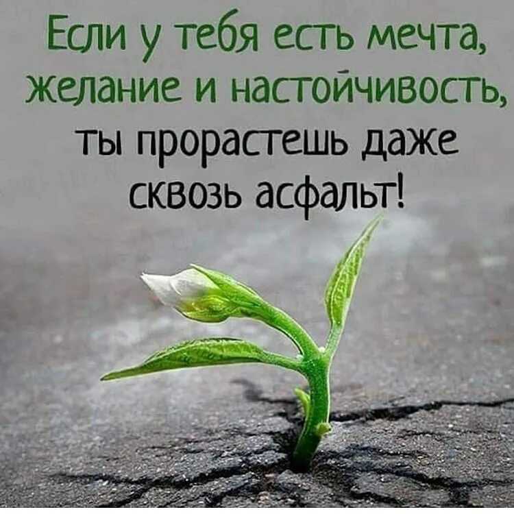 Топ 500 самых лучших цитат для инстаграма под фото: короткие, смысловые, на английском языке
