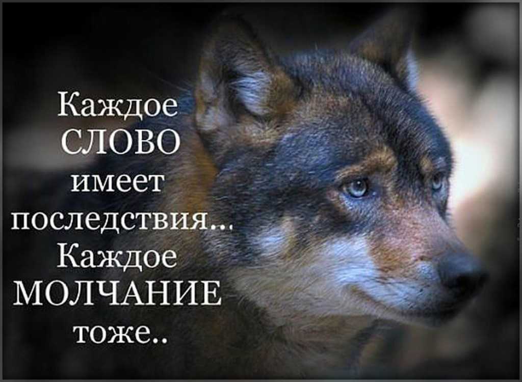 Об этом лучше помолчать - manhelper.ru