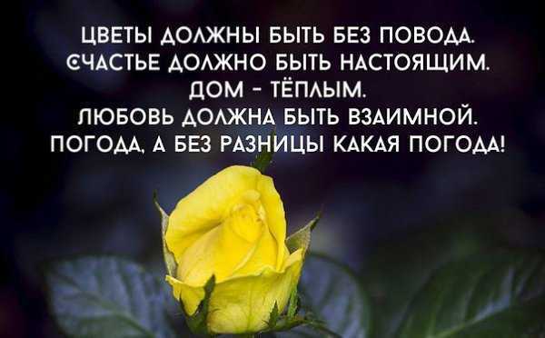 Статусы про цветах со смыслом короткие. короткие высказывания и красивые фразы про цветы без повода