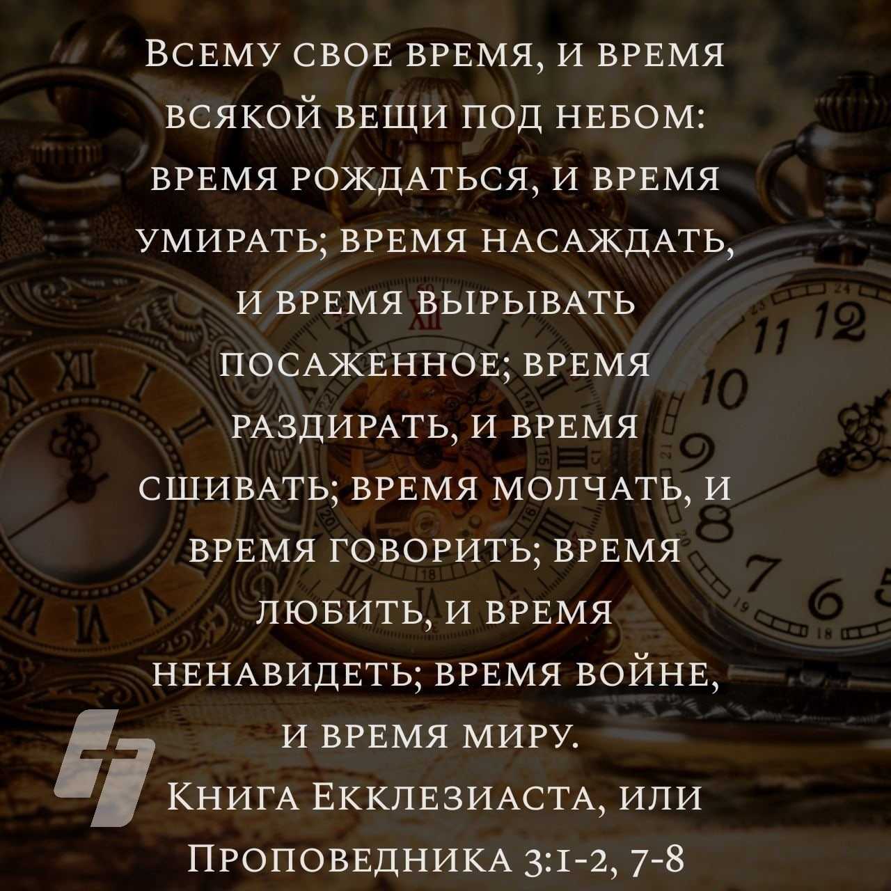 Высказывание про пчёл Пчёлы не тратят своё время доказывая мухам, что мёд лучше говна