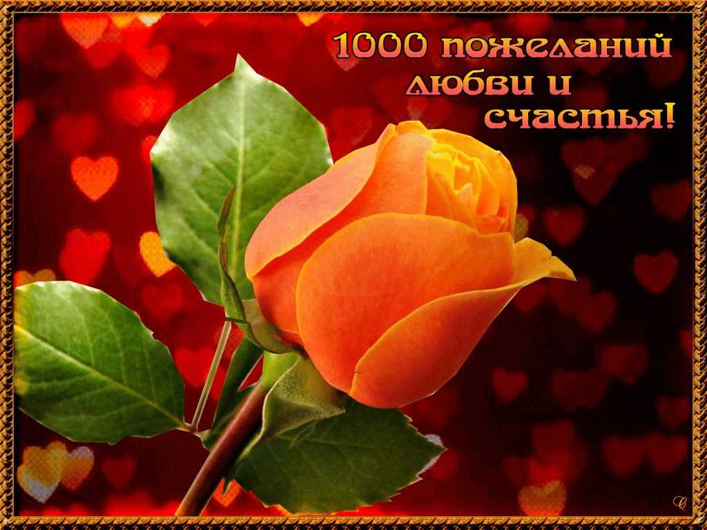 Лучшие стихи о счастье (советских и современных поэтов)