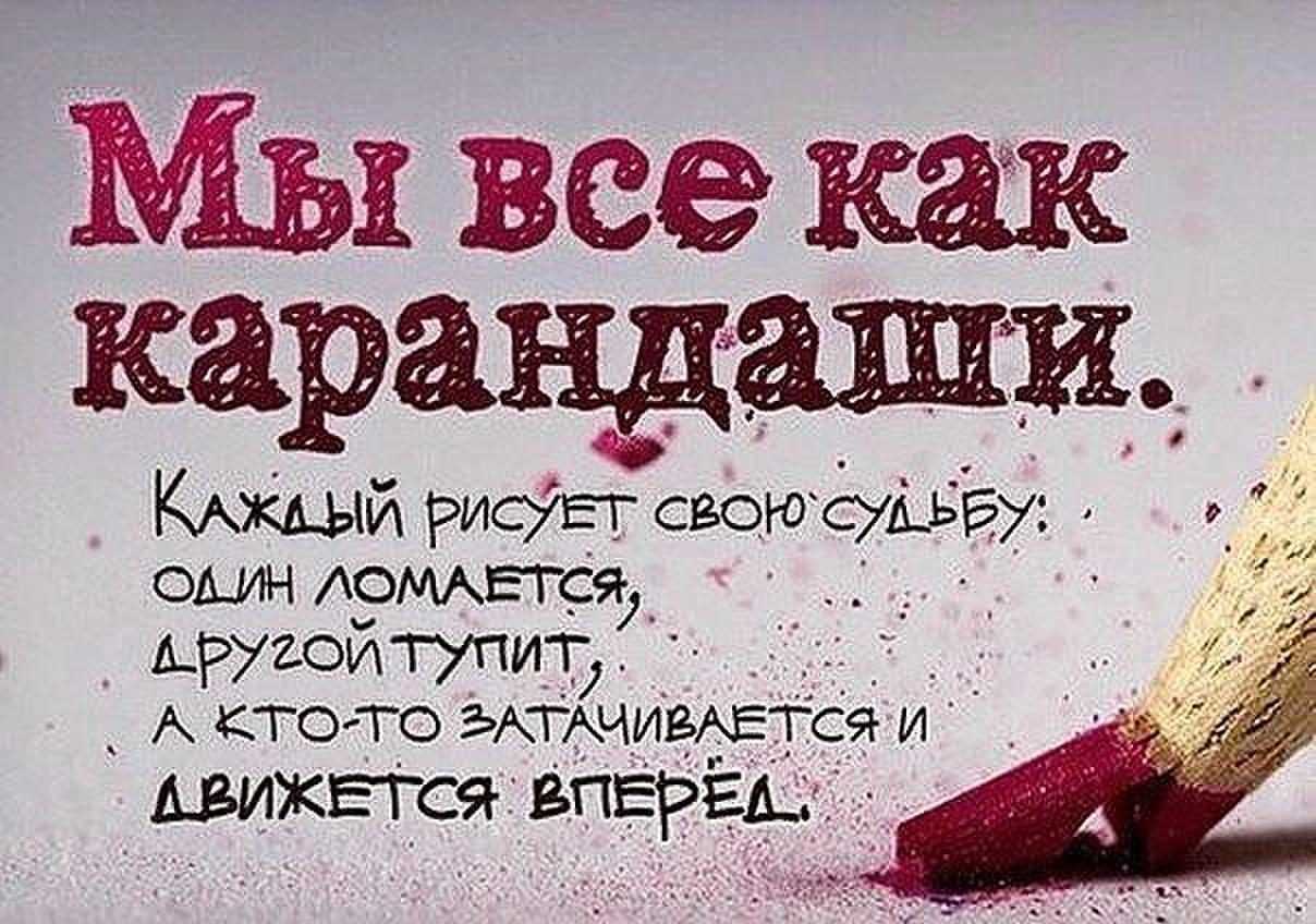 50 пословиц и афоризмов о подарках | funny gifts