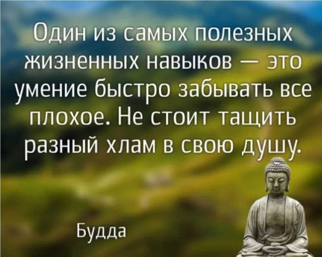 Спорт как ритм жизни. о спорте в цитатах и афоризмах