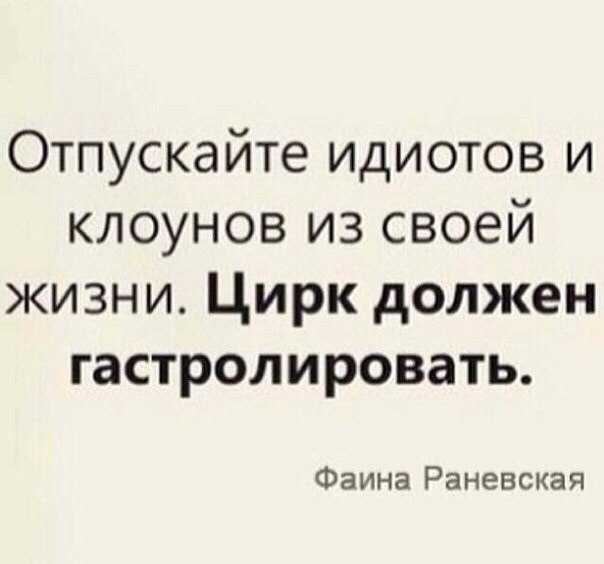 Статусы про дураков
