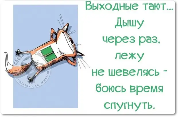 Шутки про вечер воскресенья. статусы про воскресенье. статусы про воскресенье веселые