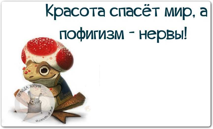 Интересные и красивые высказывания на тему Пофигизм