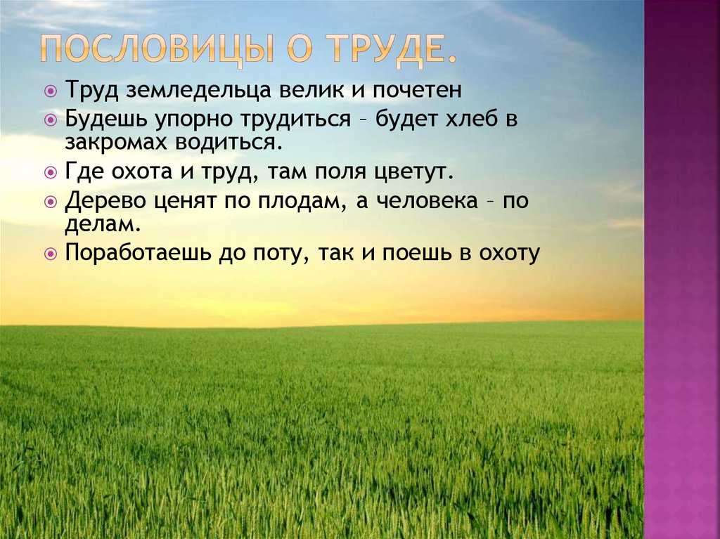 Пословицы о растениях. почти 100 самых разных удивительных пословиц
