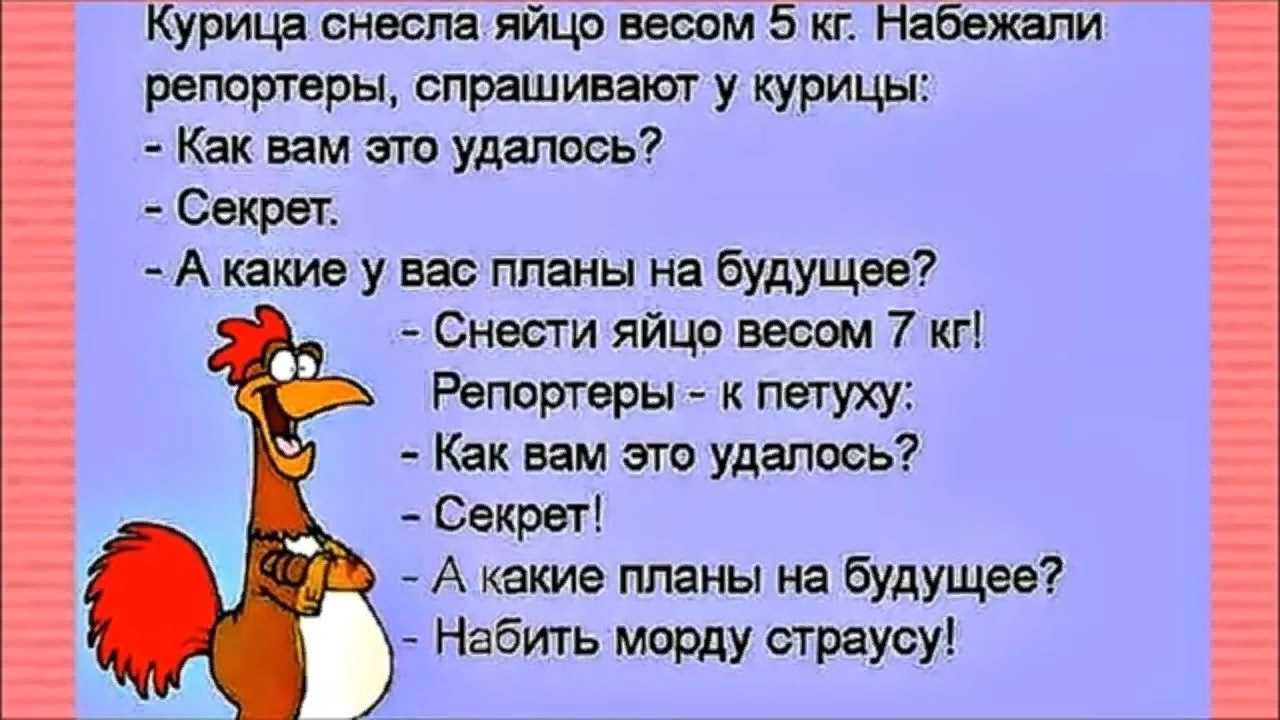 Стихи от 11 класса для первоклассников на 1 сентября. интересные и шуточные стихи на линейку